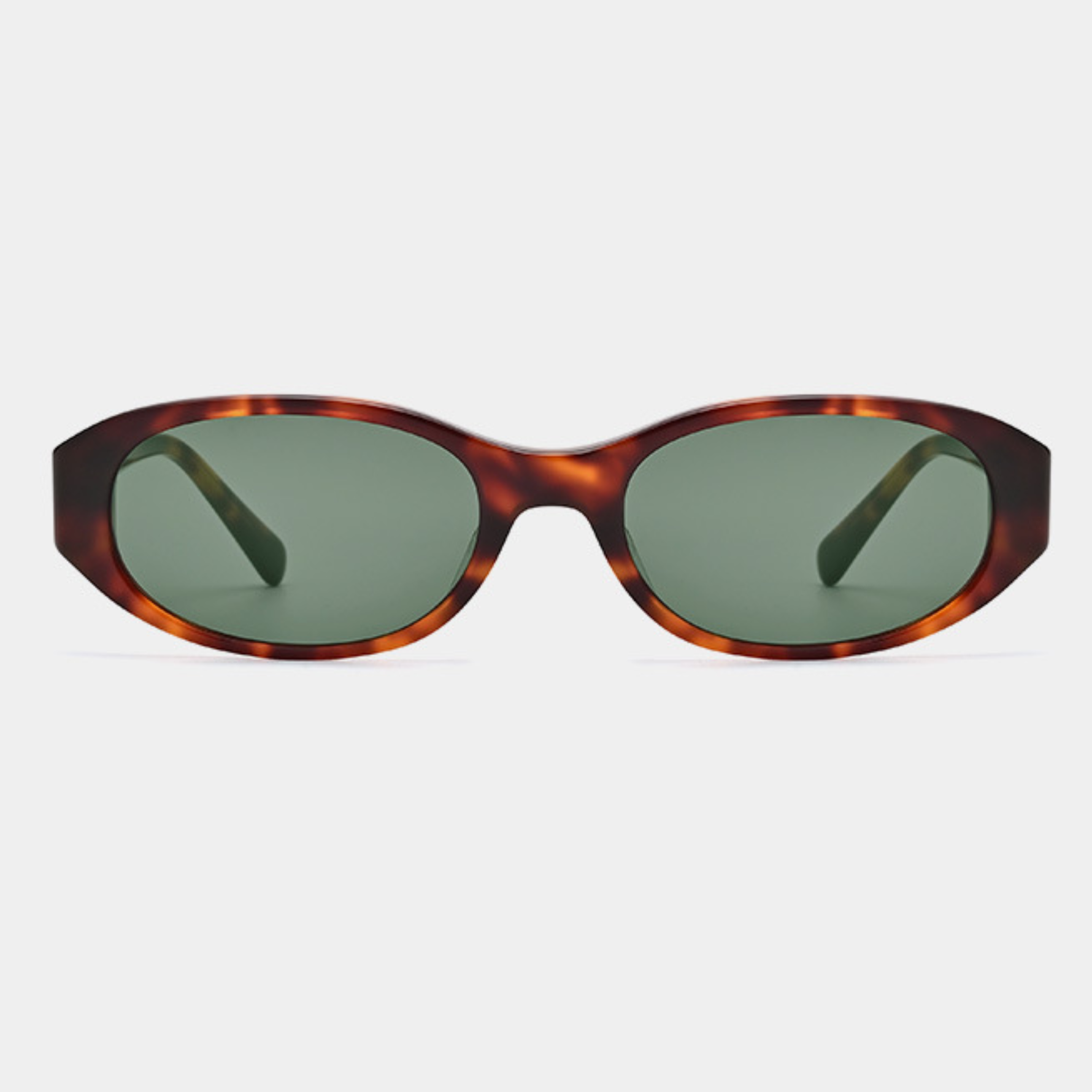 7272 Tortoise (2).png