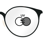 Photochromic - Gray - EYDIO