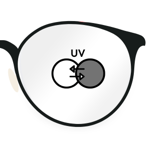 Photochromic - Gray - EYDIO